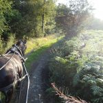 Lake Vyrnwy Animals and Crafts, Accommodation and Nearby Places 31