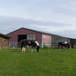 Lake Vyrnwy Animals and Crafts, Accommodation and Nearby Places 17