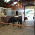 Lake Vyrnwy Animals and Crafts, Accommodation and Nearby Places 19