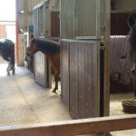 Lake Vyrnwy Animals and Crafts, Accommodation and Nearby Places 20