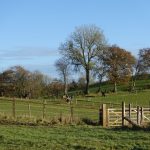 Lake Vyrnwy Animals and Crafts, Accommodation and Nearby Places 22