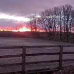Lake Vyrnwy Animals and Crafts, Accommodation and Nearby Places 24