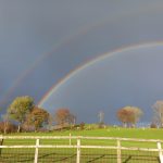 Lake Vyrnwy Animals and Crafts, Accommodation and Nearby Places 25