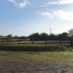 Lake Vyrnwy Animals and Crafts, Accommodation and Nearby Places 26