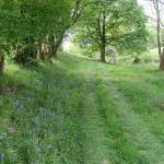 Lake Vyrnwy Animals and Crafts, Accommodation and Nearby Places 27