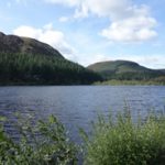 Lake Vyrnwy Animals and Crafts, Accommodation and Nearby Places 33